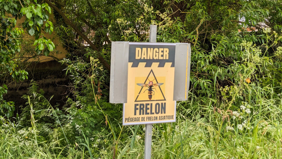 panneau de mise en garde signalant un Piège à frelons